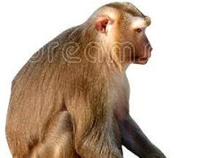 অজ্ঞানীক জ্ঞান দি মনত পালো কষ্ট কণীবোৰ ভঙ্গাই পেলাই বাহো কৰিলো নষ্ট —ভাৱ সম্প্ৰসাৰণ অজ্ঞানীক জ্ঞান দি মনত পালো কষ্ট কণীবোৰ ভঙ্গাই পেলাই বাহো কৰিলো নষ্ট ---ভাৱ সম্প্ৰসাৰণ