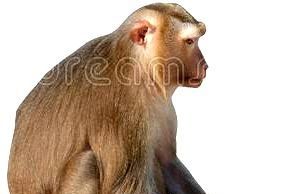 অজ্ঞানীক জ্ঞান দি মনত পালো কষ্ট কণীবোৰ ভঙ্গাই পেলাই বাহো কৰিলো নষ্ট —ভাৱ সম্প্ৰসাৰণ অজ্ঞানীক জ্ঞান দি মনত পালো কষ্ট কণীবোৰ ভঙ্গাই পেলাই বাহো কৰিলো নষ্ট ---ভাৱ সম্প্ৰসাৰণ