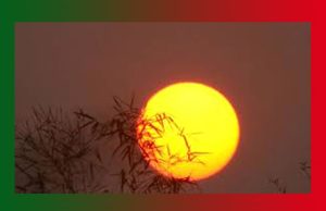 অন্তিম নিশাৰ কবিতা | Antim Nishar Kabita অন্তিম নিশাৰ কবিতা Antim Nishar Kabita