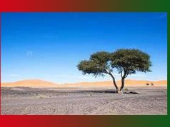 অভীপ্সা | Avipsha অভীপ্সা Avipsha