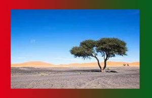 অভীপ্সা | Avipsha অভীপ্সা Avipsha