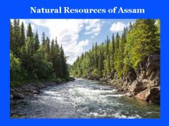 অসমৰ প্রাকতিক সম্পদ অসমৰ প্রাকতিক সম্পদ Natural Resources of Assam