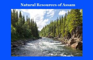 অসমৰ প্রাকতিক সম্পদ অসমৰ প্রাকতিক সম্পদ Natural Resources of Assam