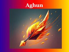 আঘোণ | Aghun আঘোণ Aghun