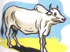 আছে গৰু নাবায় হাল থকাতকৈ নথকাই ভাল—ভাৱ সম্প্ৰসাৰণ আছে গৰু নাবায় হাল থকাতকৈ নথকাই ভাল