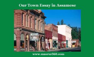 আমাৰ নগৰখন Our Town Essay in Assamese