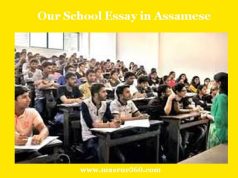 আমাৰ বিদ্যালয় ৰচনা | Our School Essay in Assamese আমাৰ বিদ্যালয় ৰচনা Our School Essay in Assamese