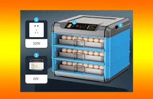 ইনকুবেটৰ । Incubator | ইনকিউবেটৰ ইনকুবেটৰ । Incubator