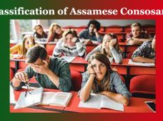 উচ্চাৰণ অনুযায়ী ব্যঞ্জনবৰ্ণৰ বিভাজন উচ্চাৰণ অনুযায়ী ব্যঞ্জনবৰ্ণৰ বিভাজন