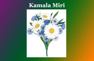 কমলা মিৰি | Kamala Miri কমলা মিৰি Kamala Miri