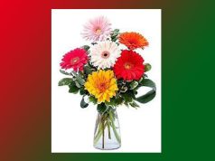 কেইটিমান অনুেচ্ছদ | Keitiman Anuchched কেইটিমান অনুেচ্ছদ Keitiman Anuchched