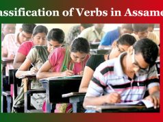 ক্ৰিয়া পদৰ শ্ৰেণী বিভাগ | Classification of Verbs in Assamese ক্ৰিয়া পদৰ শ্ৰেণী বিভাগ Classification of Verbs in Assamese