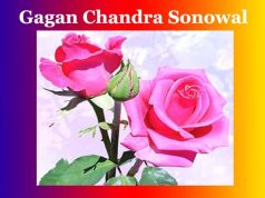 গগন চন্দ্ৰ সোনোৱাল | Gagan Chandra Sonowal গগন চন্দ্ৰ সোনোৱাল Gagan Chandra Sonowal