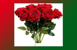 গোলাপ যেন সুন্দৰ | Golap Jen Sundar গোলাপ যেন সুন্দৰ Golap Jen Sundar