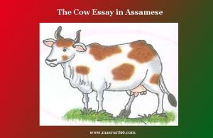 গৰু ৰচনা। The Cow Essay in Assamese গৰু ৰচনা। The Cow Essay in Assamese