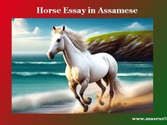 ঘোঁৰা ৰচনা | Horse Essay in Assamese ঘোঁৰা ৰচনা Horse Essay in Assamese