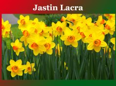 জাষ্টিন লাক্ৰা | Jastin Lacra জাষ্টিন লাক্ৰা Jastin Lacra