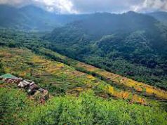জৈৱ বৈচিত্ৰ্য আৰু সাম্প্ৰতিক সময় । Jaibo Boichitra Aaru Samprotik Samay | Biodiversity – Essay in Assamese জৈৱ বৈচিত্ৰ্য আৰু সাম্প্ৰতিক সময়