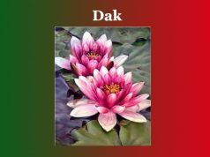 ডাক | ডাকৰ বচন । Dak ডাক ডাকৰ বচন । Dak