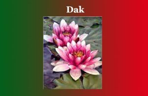 ডাক | ডাকৰ বচন । Dak ডাক ডাকৰ বচন । Dak