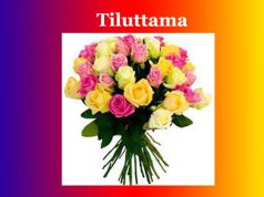 তিলোত্তমা | Tiluttama তিলোত্তমা Tiluttama