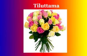 তিলোত্তমা | Tiluttama তিলোত্তমা Tiluttama