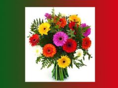 তোমাৰ বাবে আই | Tumar Babe Mur Aai তোমাৰ বাবে আই Tumar Babe Mur Aai