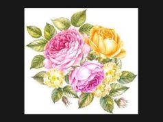 দেওধাই। Deodhai দেওধাই। Deodhai