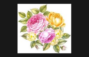 দেওধাই। Deodhai দেওধাই। Deodhai