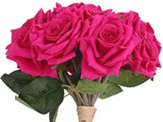 নন্দ | Nanda নন্দ Nanda