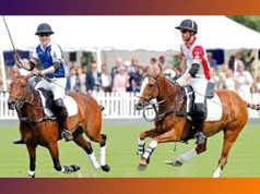 পল’ কুইজ | Polo Quiz পল’ কুইজ Polo Quiz