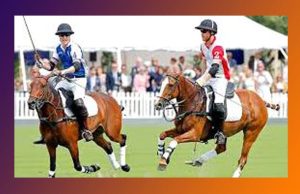 পল’ কুইজ | Polo Quiz পল’ কুইজ Polo Quiz