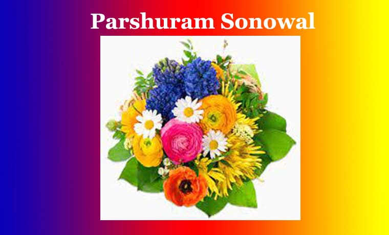 পৰশুৰাম সোনোৱাল | Parshuram Sonowal 1 পৰশুৰাম সোনোৱাল Parshuram Sonowal
