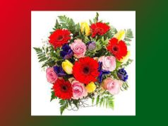 ফুল | Phool ফুল Phool