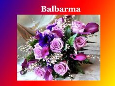 বলবৰ্মা। Balbarma বলবৰ্মা। Balbarma