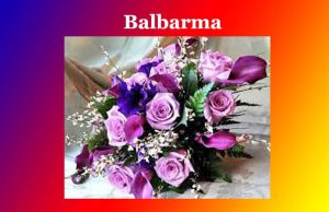 বলবৰ্মা। Balbarma বলবৰ্মা। Balbarma