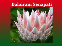 বলাইৰাম সেনাপতি | Balairam Senapat বলাইৰাম সেনাপতি Balairam Senapat