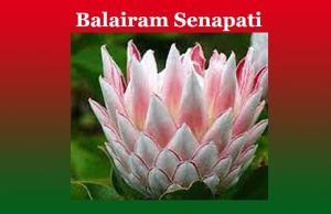 বলাইৰাম সেনাপতি | Balairam Senapat বলাইৰাম সেনাপতি Balairam Senapat