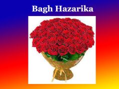 বাঘ হাজৰিকা। Bagh Hazarika বাঘ হাজৰিকা। Bagh Hazarika