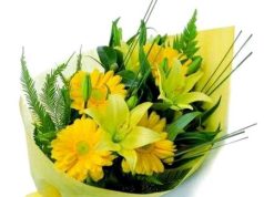 বামন | Baman বামন Baman