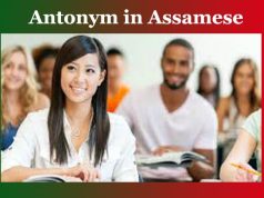 বিপৰীত অর্থবোধক শব্দ। Antonym in Assamese বিপৰীত অর্থবোধক শব্দ। Antonym in Assamese