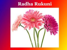 বীৰাঙ্গণা ৰাধা-ৰুকুণী | Radha Rukuni বীৰাঙ্গণা ৰাধা-ৰুকুণী Radha Rukuni