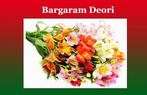 বৰ্গৰাম দেউৰী | Bargaram Deori বৰ্গৰাম দেউৰী Bargaram Deori