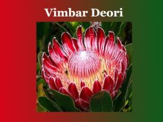 ভীমবৰ দেউৰী | Vimbar Deori ভীমবৰ দেউৰী Vimbar Deori