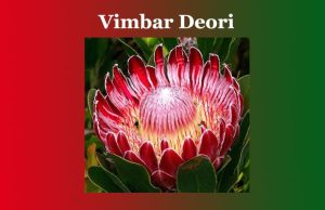 ভীমবৰ দেউৰী | Vimbar Deori ভীমবৰ দেউৰী Vimbar Deori