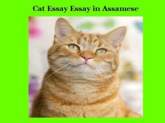 মেকুৰী ৰচনা। Cat Essay Essay in Assamese মেকুৰী ৰচনা। Cat Essay Essay in Assamese