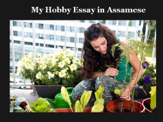মোৰ প্রিয় কাম | My Hobby Essay in Assamese মোৰ প্রিয় কাম My Hobby Essay in Assamese