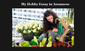 মোৰ প্রিয় কাম  My Hobby Essay in Assamese