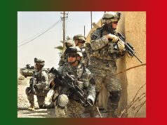 শিয়াল | Shiyal শিয়াল Shiyal