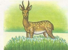 সময়ৰ শৰ মাৰিব নাজানিলে শৰ পহুৰ মঙহ খাবলৈ আশা কৰা মিছা —ভাব সম্প্রসাৰণ সময়ৰ শৰ মাৰিব নাজানিলে শৰ পহুৰ মঙহ খাবলৈ আশা কৰা মিছা